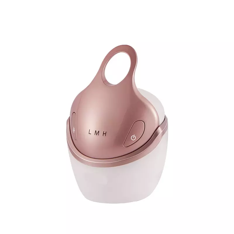 Dispositivo multifunzionale per il rafforzamento della pelle con attrezzatura elettrica per la bellezza antirughe Ems Rf Face Lift